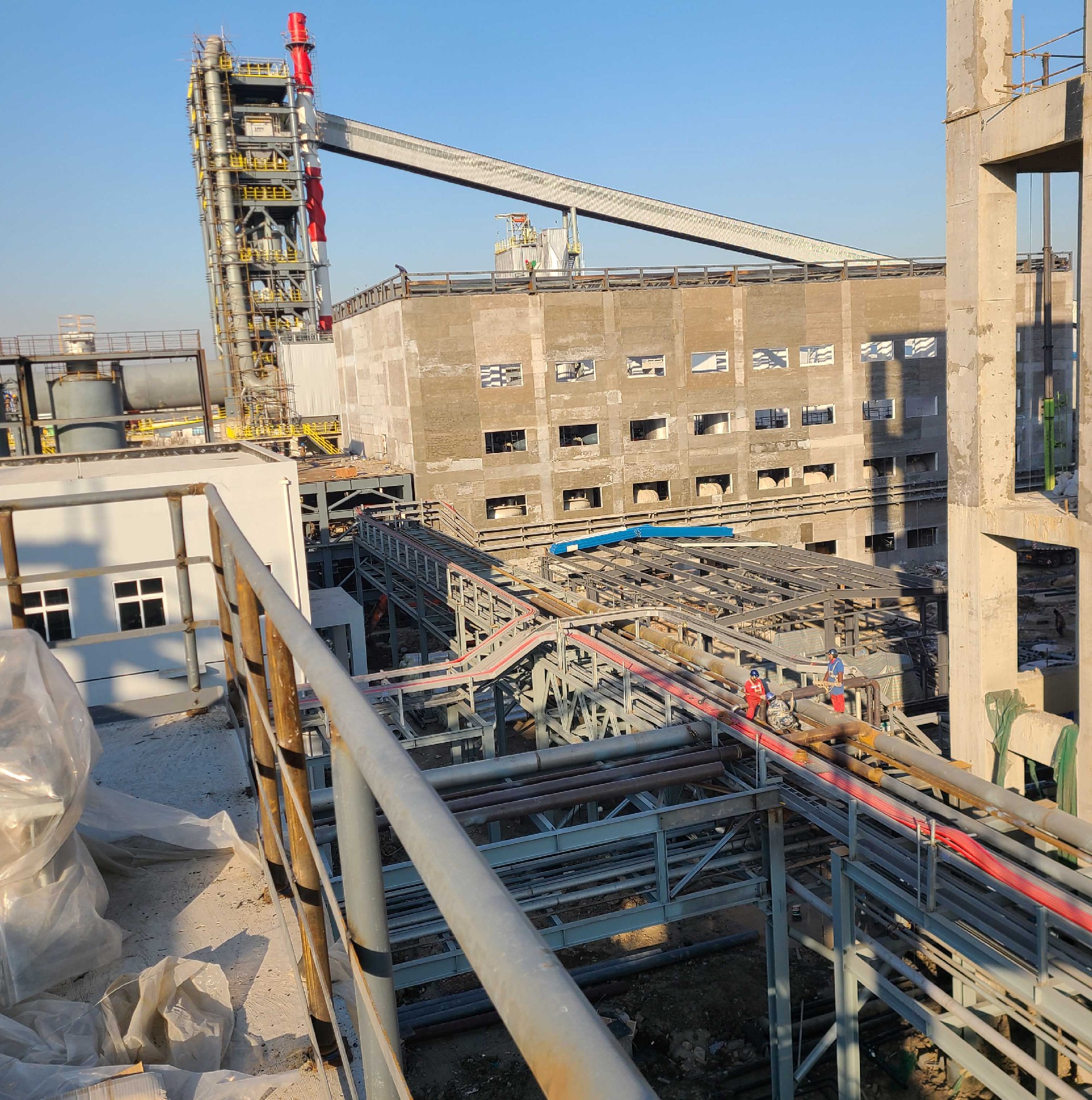 view of plant.jpg