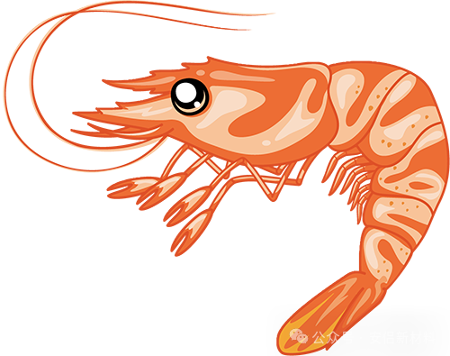 New ride on toy of kids motorcycle New ride on toy of kids motorcycle