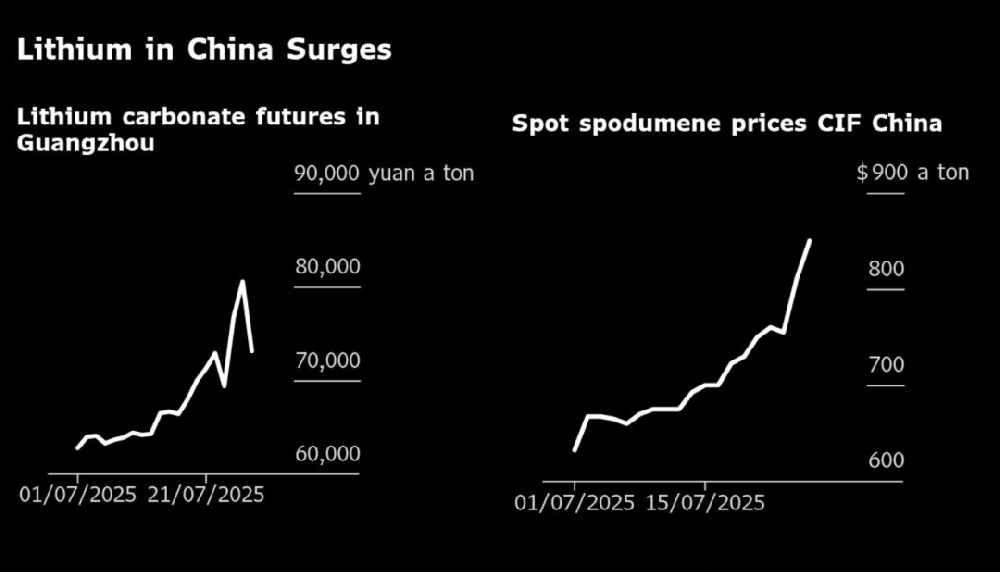 Market Update on Nickel Prices in Nov.2025 Market Update on Nickel Prices in Nov.2025